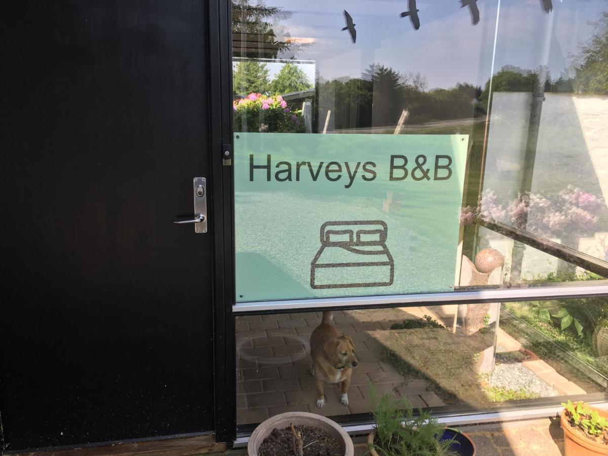 Harvey'S Bed & Breakfast Йёрринг Экстерьер фото
